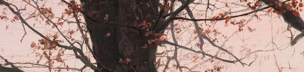 Evening Glow by Andrii Kateryniuk